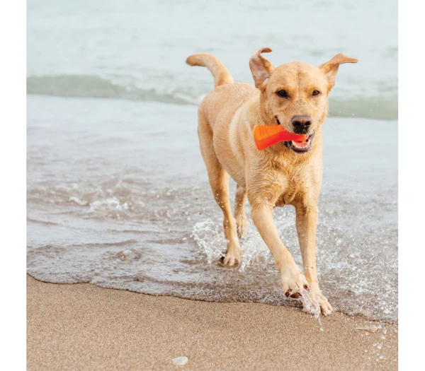 Bionic Bone Dog Toys