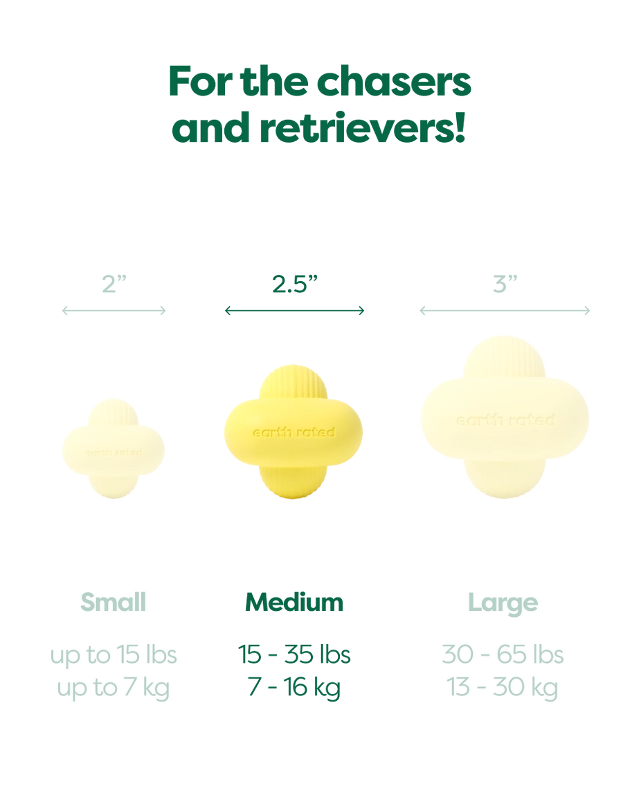 Earth Rated Fetch Dog Toy