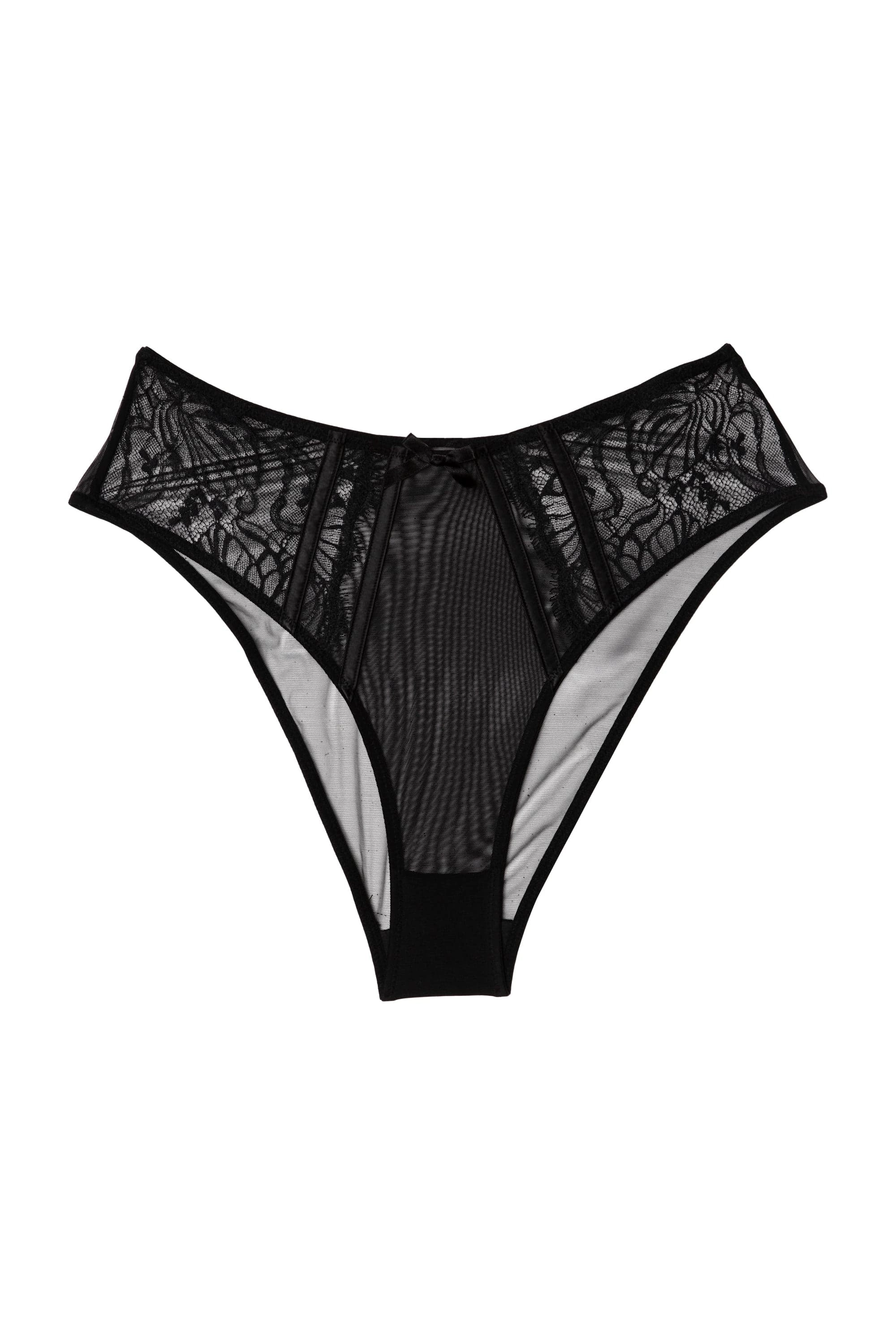 Fallon Black Lace and Mesh Midi Brief