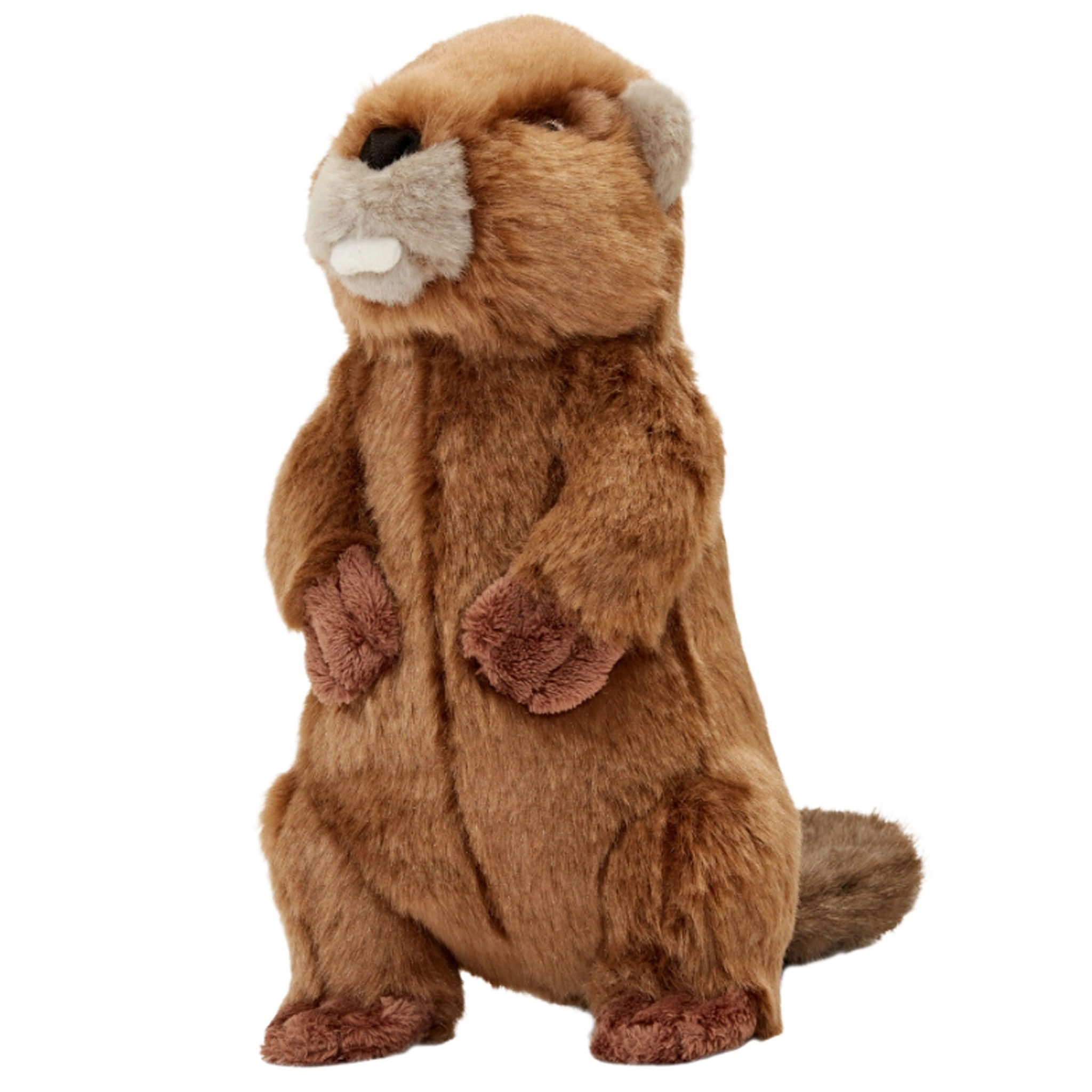 Fluff & Tuff Troy Beaver Dog Toy