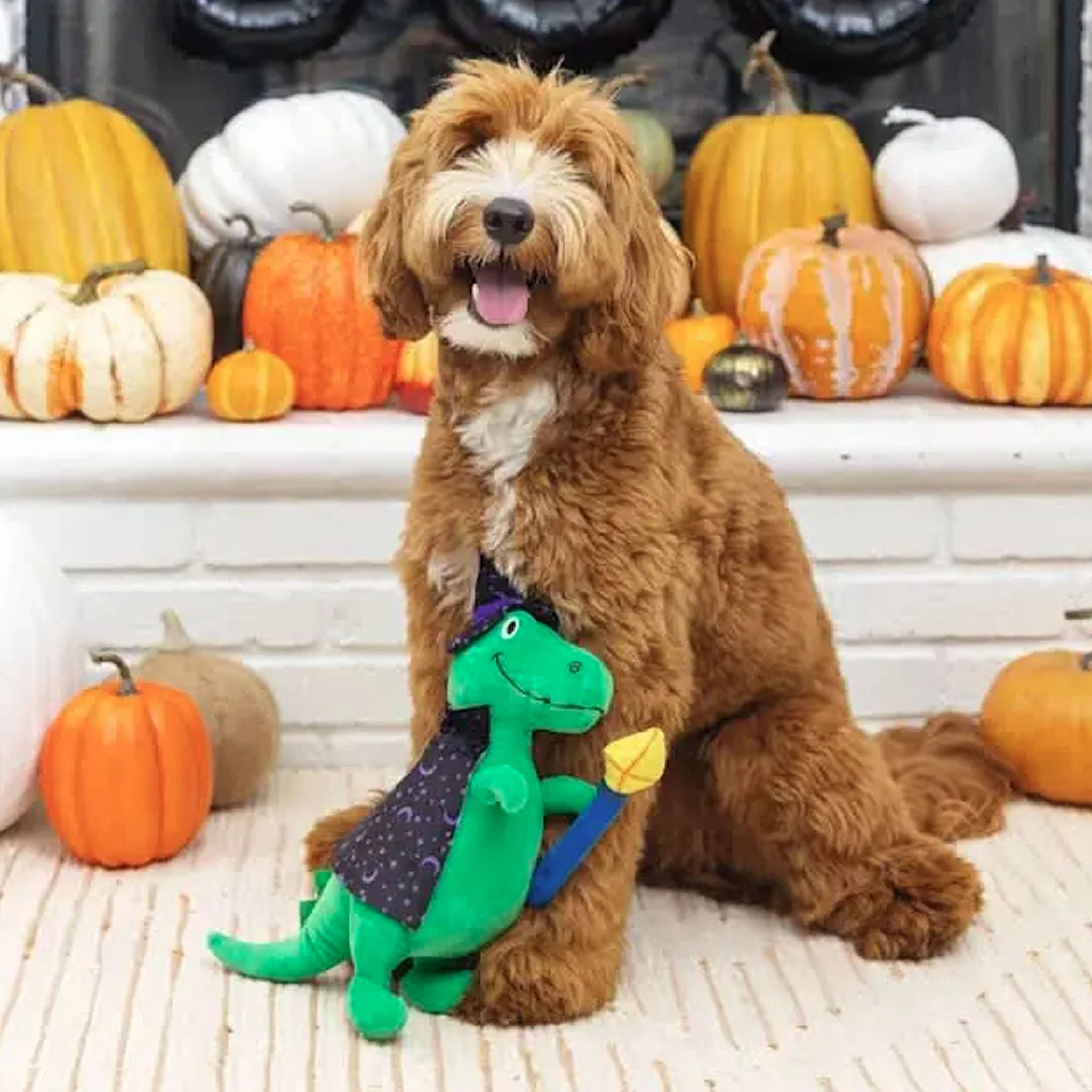 Fringe Spell-a-saurus Green Dog Toys