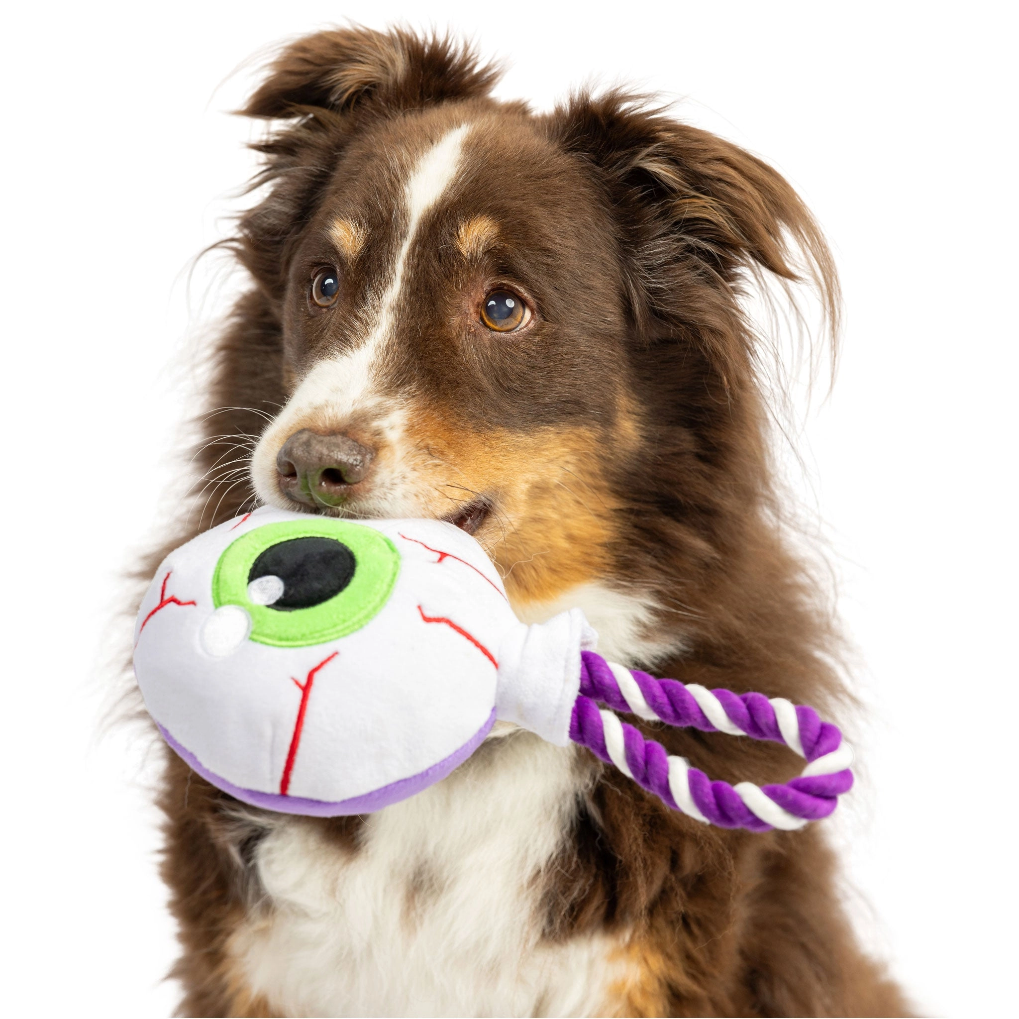 Huxley & Kent Eyeball Safety Pop White Dog Toys