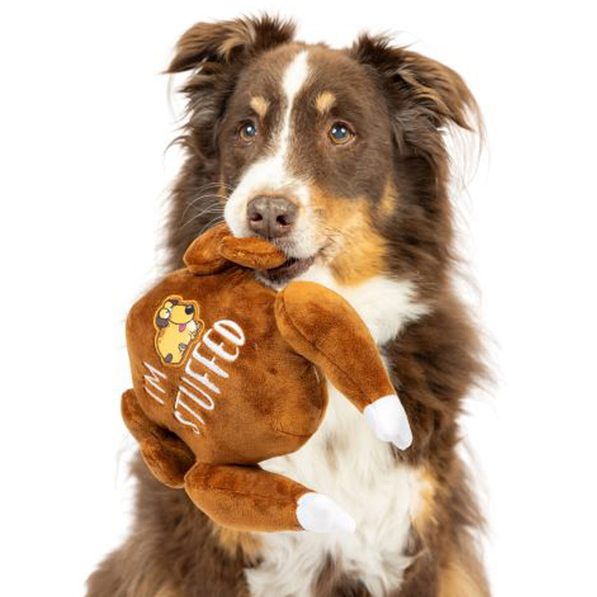 Huxley & Kent I'm Stuffed Turkey Dog Toy