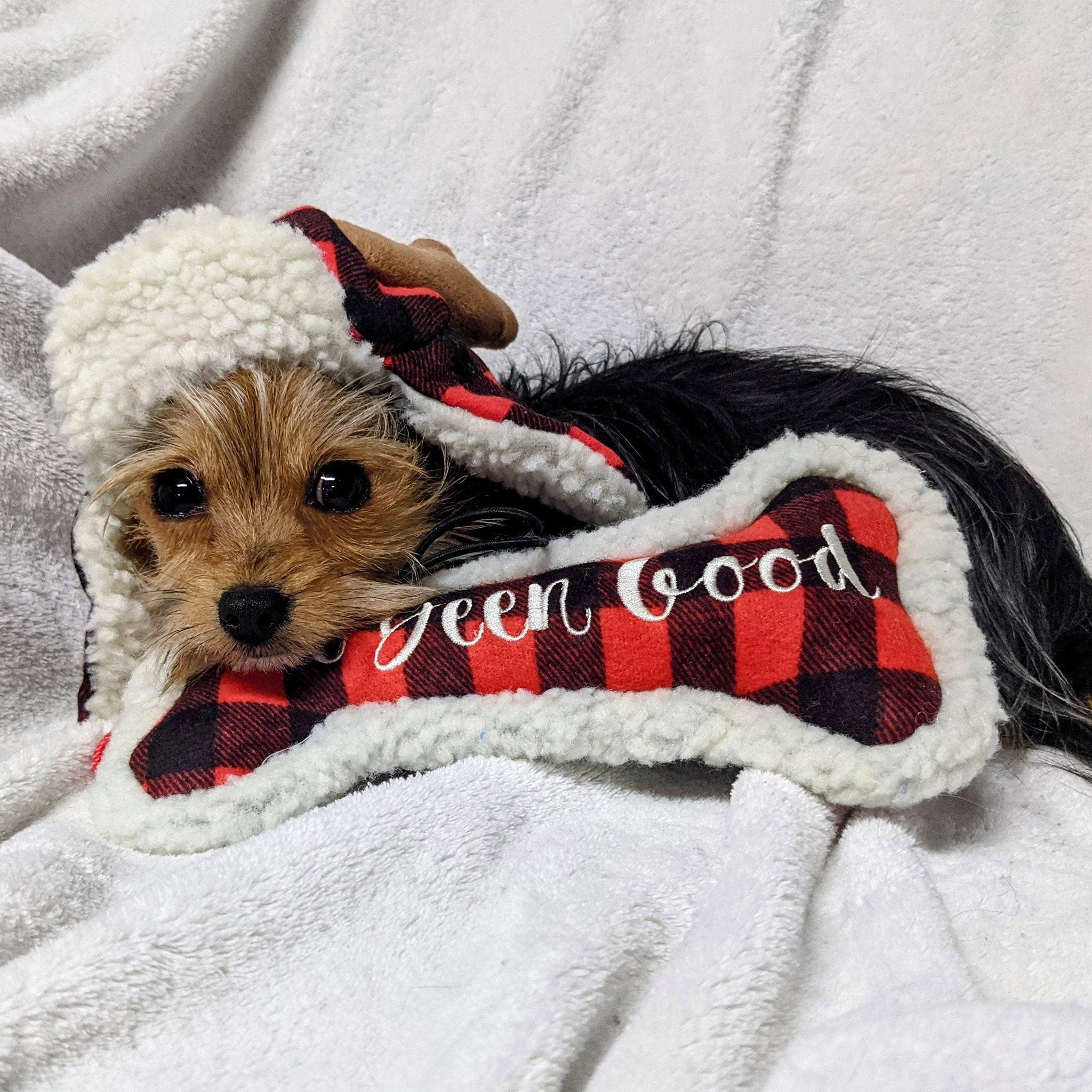 Huxley & Kent I've Been Good Bone Red & Black Dog Toy