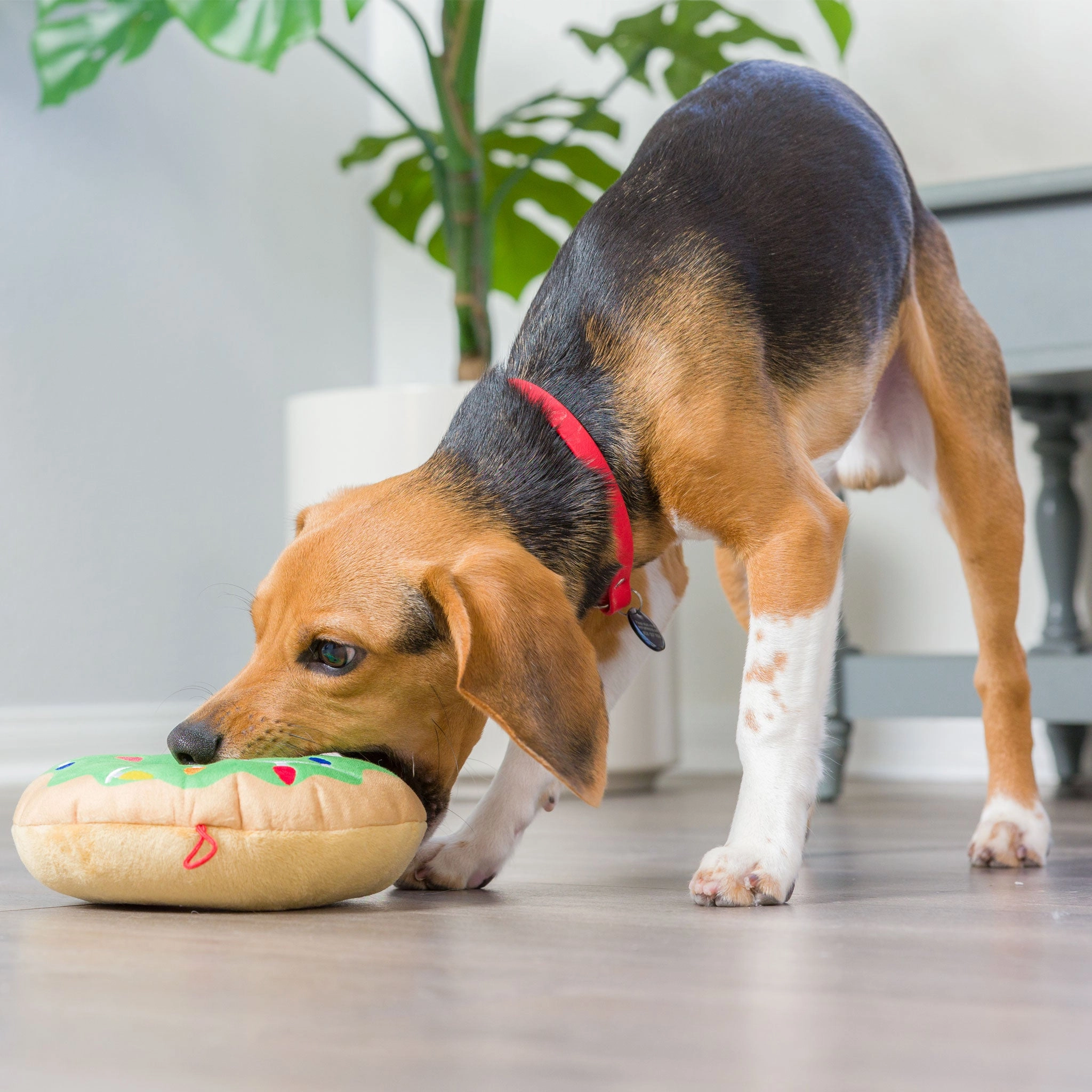 Huxley & Kent Lit Donut Dog Toy