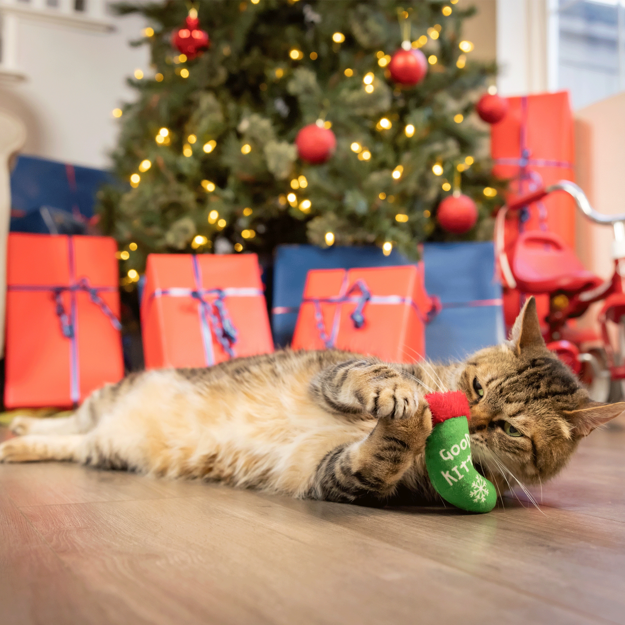 Kittybelles Good Kitty Bad Kitty Stocking Green Cat Toys