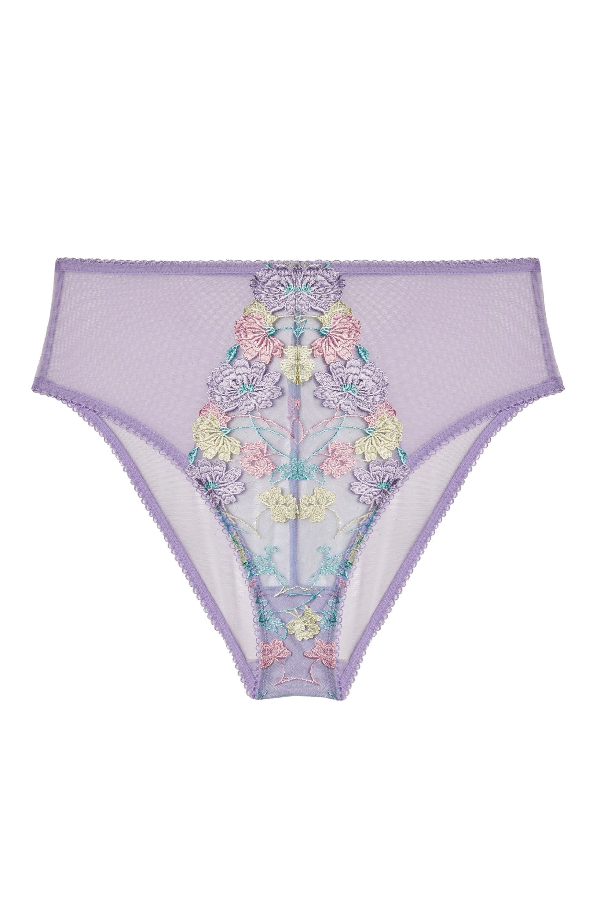 Luna Pastel Embroidered High Waisted Brief