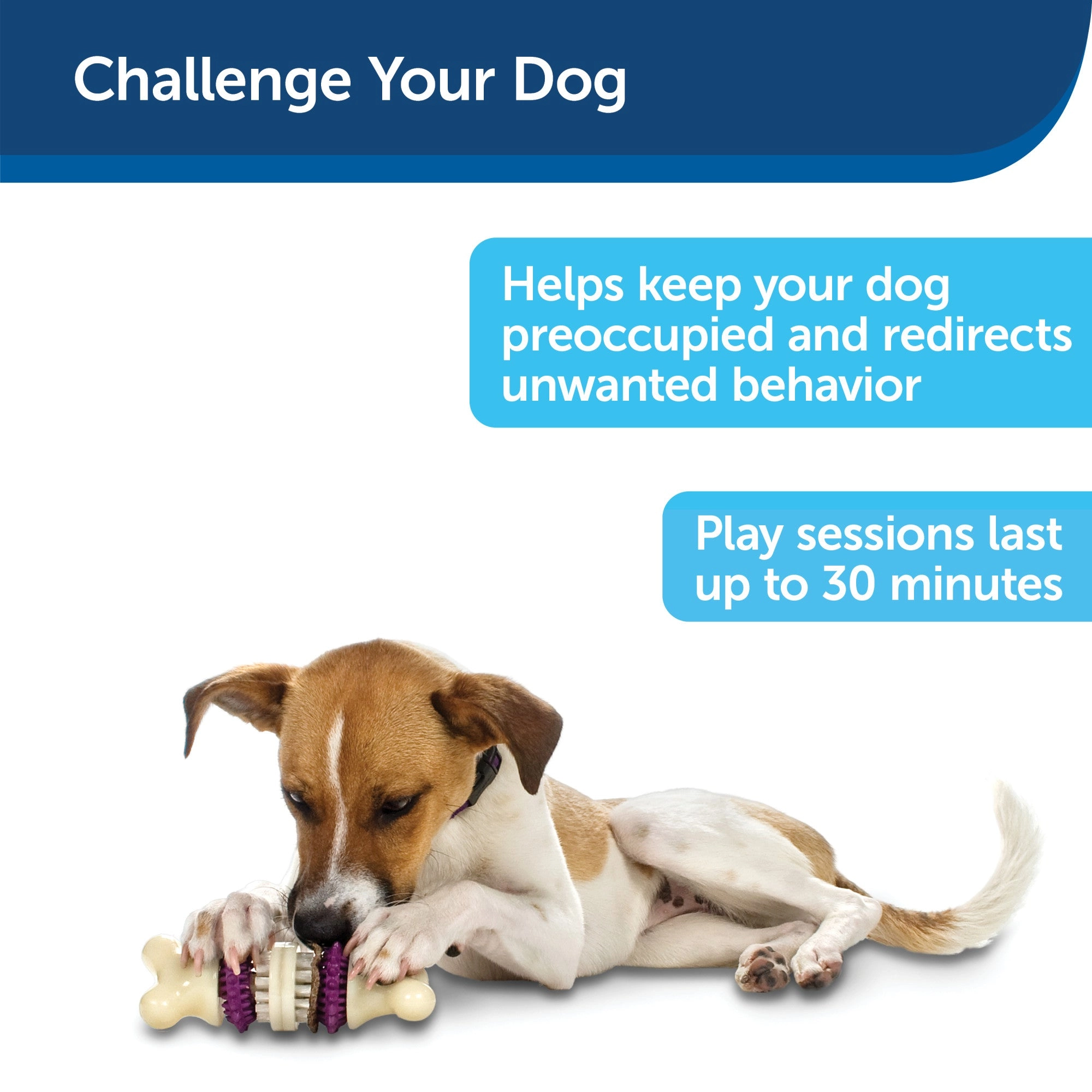 PetSafe® Busy Buddy® Bristle Bone® Dog Toy, Large