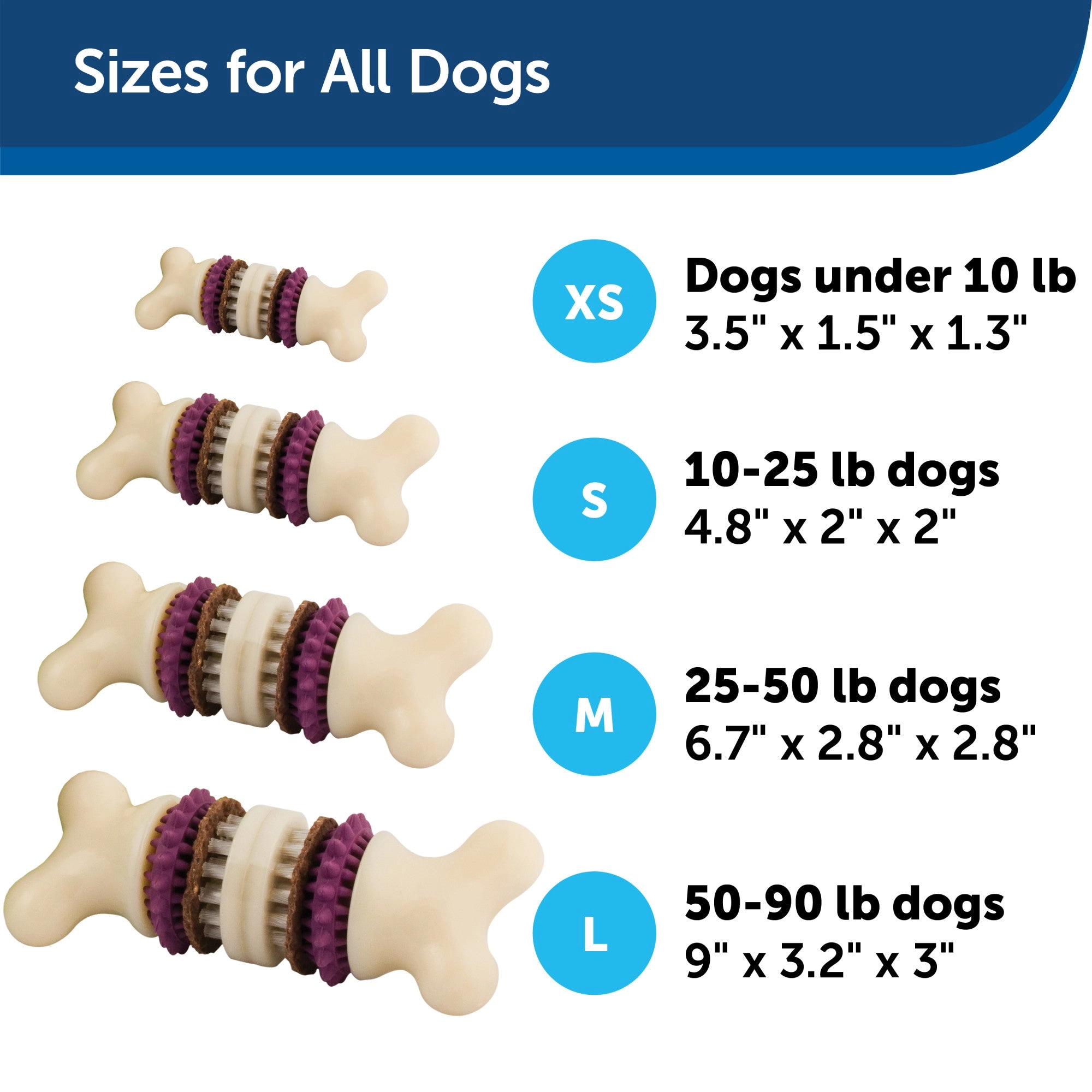 PetSafe® Busy Buddy® Bristle Bone® Dog Toy, Large