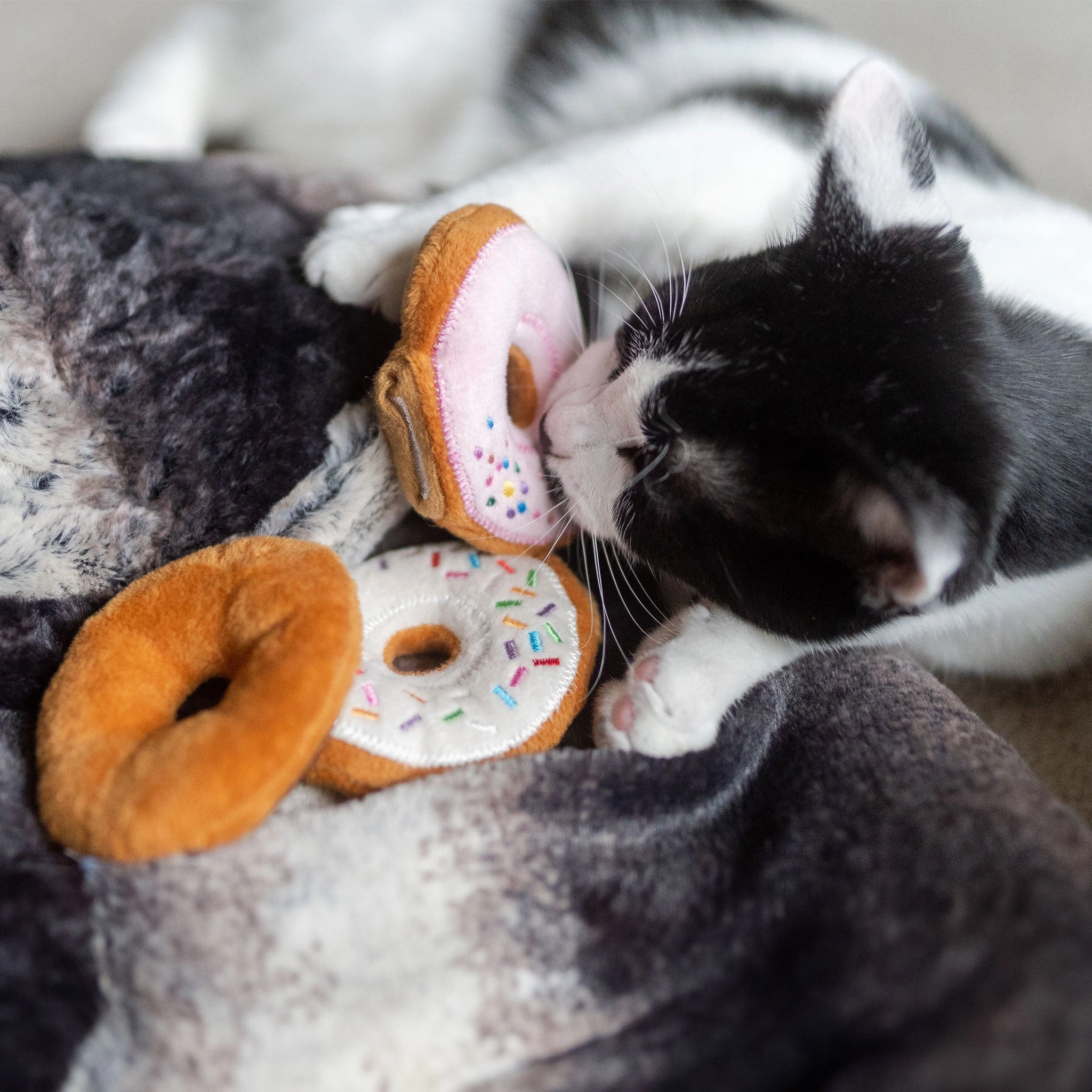 P.L.A.Y. Catnip Donuts Multi Cat Toys