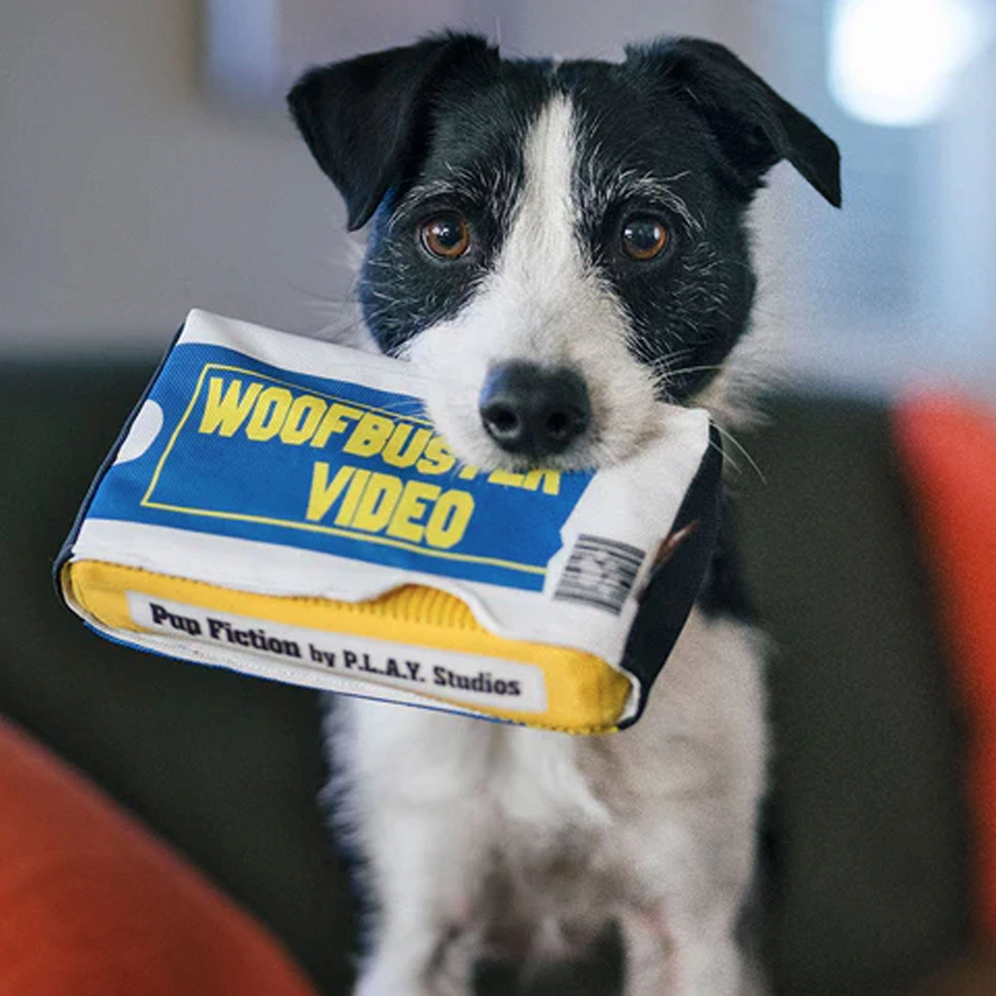 P.L.A.Y. Woofbuster Blue & Yellow Dog Toys