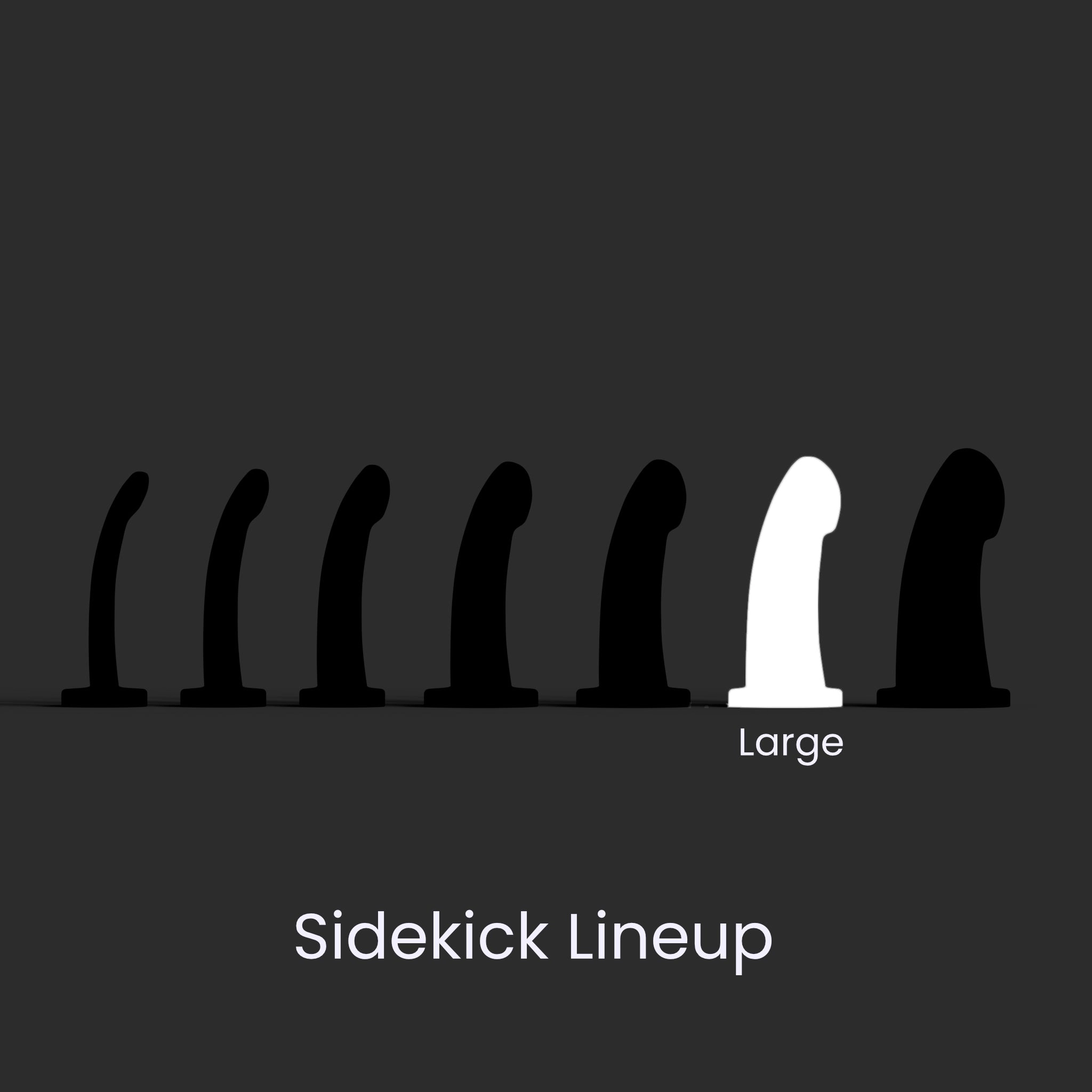 Pride Fade Sidekick Large - Soft - SECOND - Ready to Ship