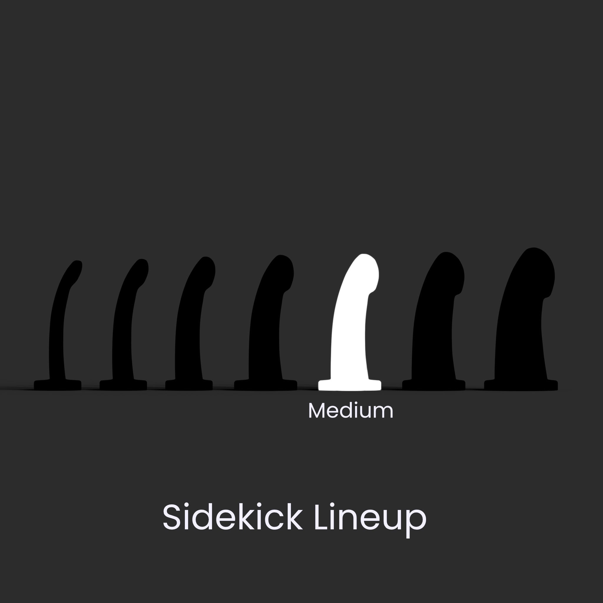Sidekick Medium - Ace Pride Fade - Soft - Ready to Ship