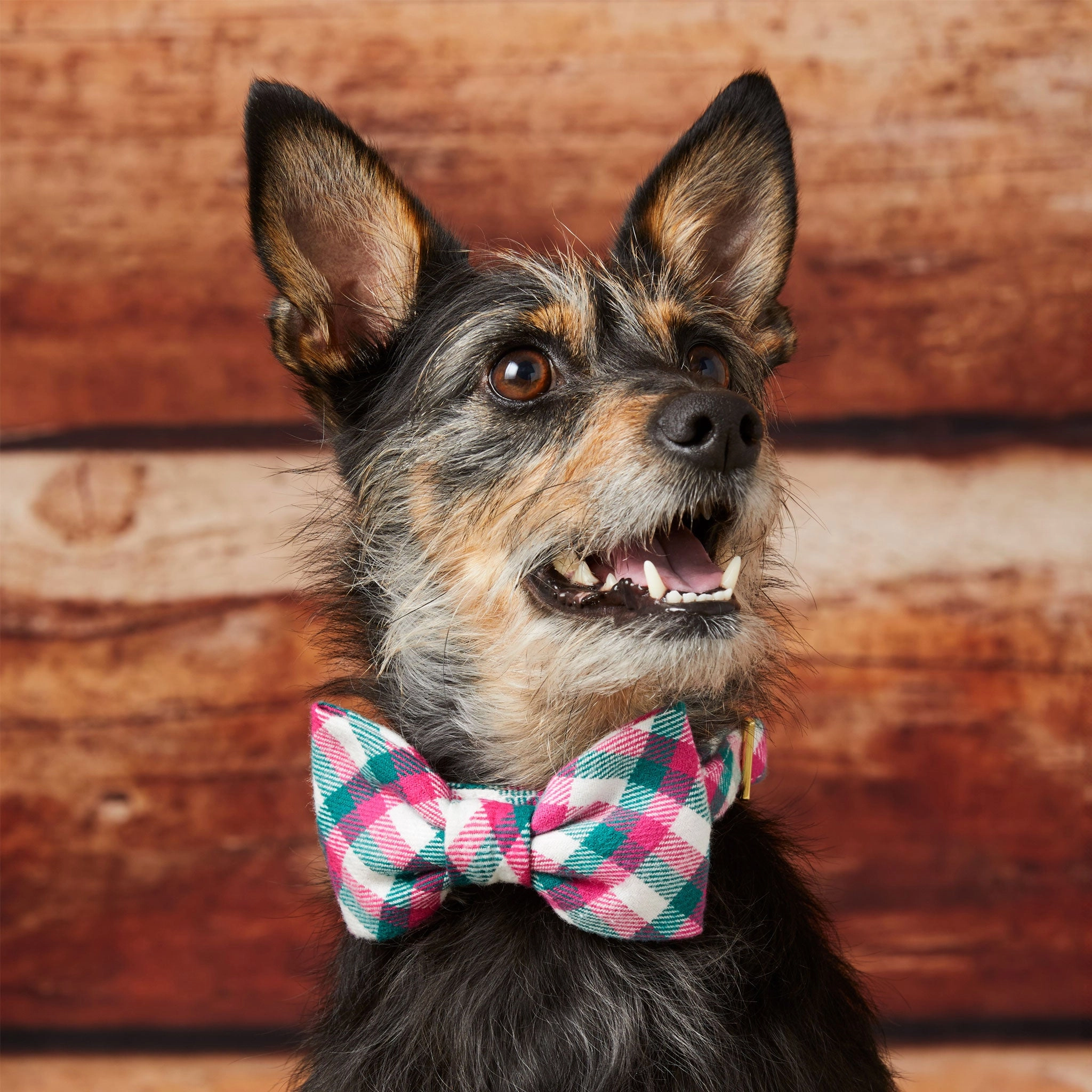 The Foggy Dog Bowtie - Callie Plaid Flannel
