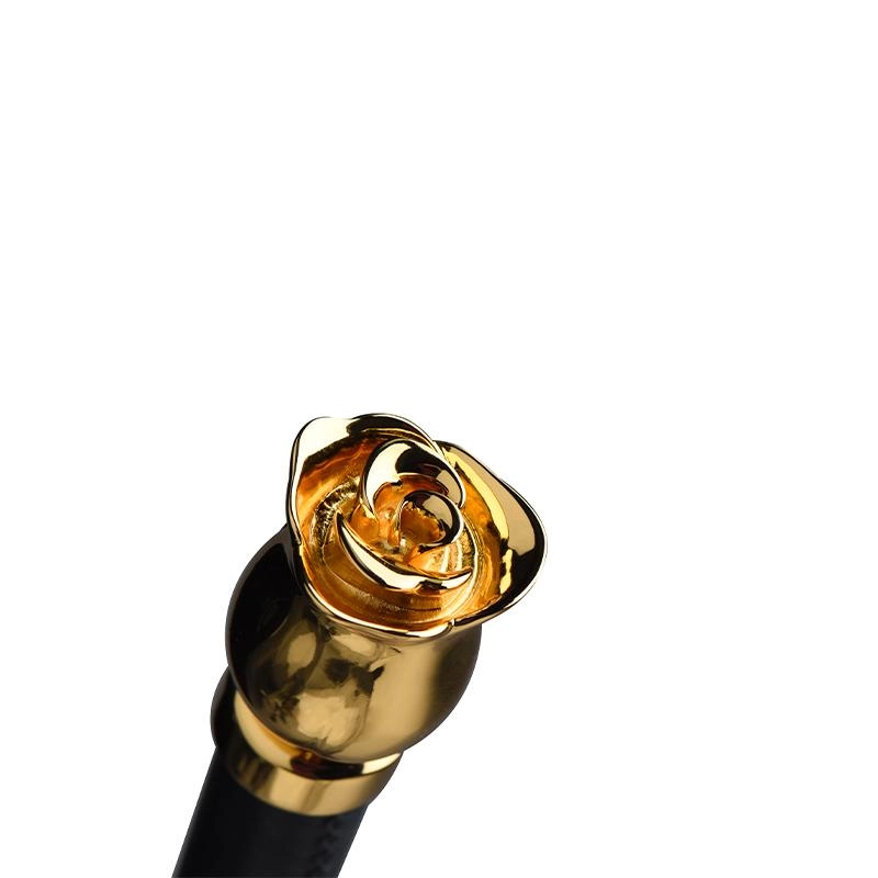 Thorn Leather Whip