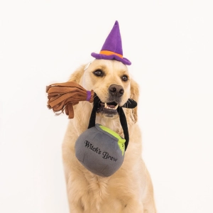 Zippy Paws Costume Kit Witch Dog Toys